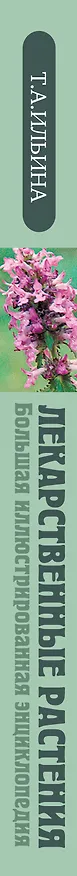 Книга Лекарственные растения. Большая иллюстрированная энциклопедия (Татьяна Ильина) — 3