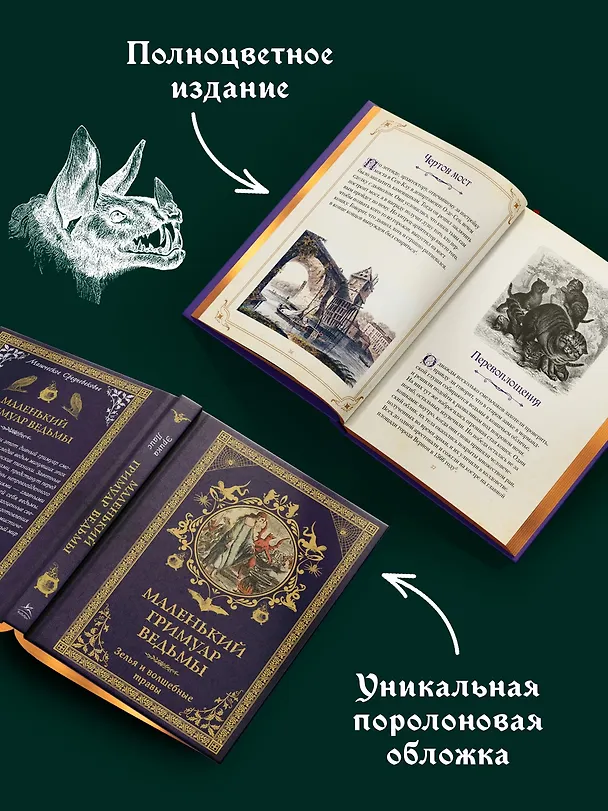 Книга Магические животные. Легенды и суеверия (Дениз Кроль-Терзаги) — 6