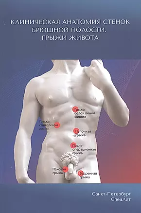 Клиническая анатомия стенок брюшной полости. Грыжи живота — 2834391 — 1