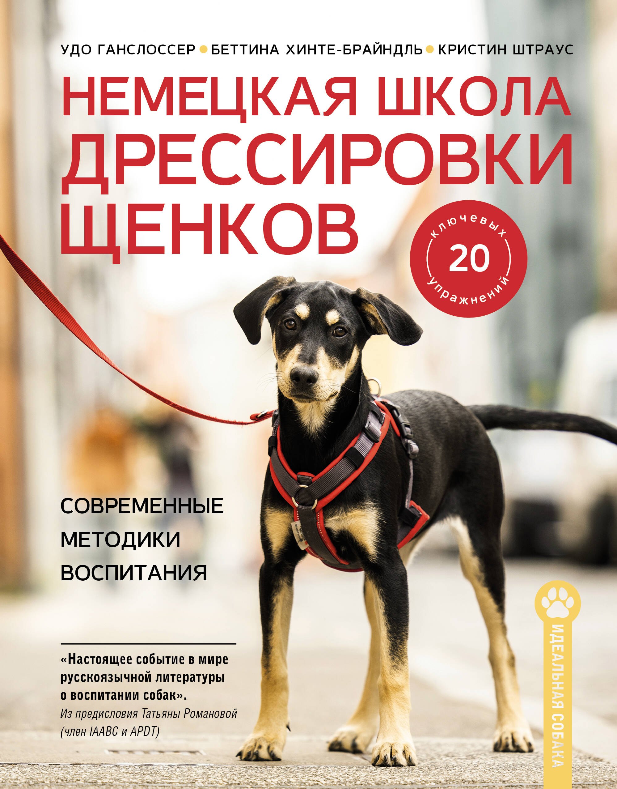 Немецкая школа дрессировки щенков. Современные методики воспитания