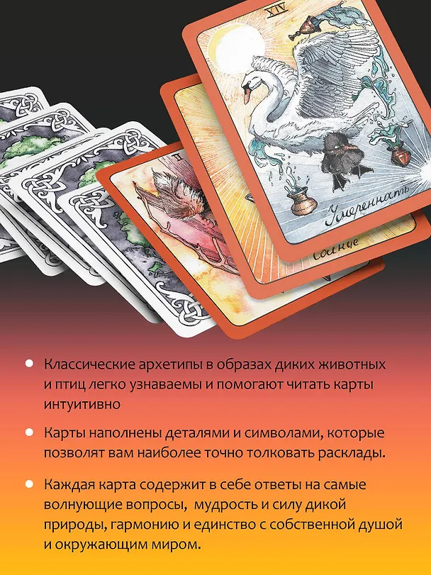Книга The Wild Dark Tarot / Дикое Темное Таро (Кэтти Флёр) — 8