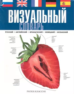 Визуальный словарь. Русский. Английский. Французский. Немецкий. Испанский — 2227762 — 1