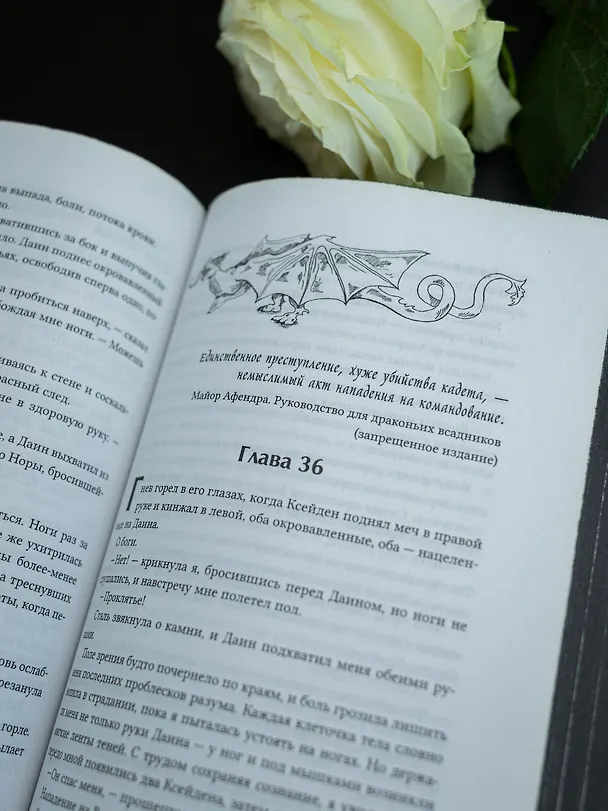 Книга Железное пламя (Ребекка Яррос) — 11