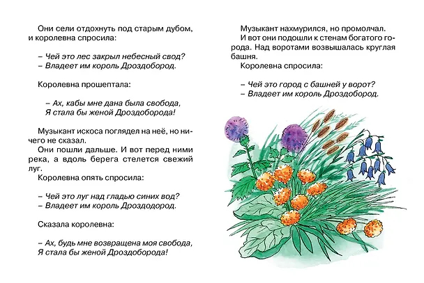 Книга Король Дроздобород (Вильгельм Гримм, Якоб Гримм) — 4