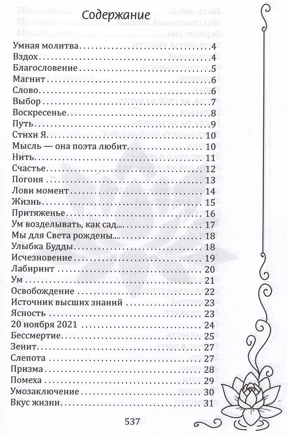 Книга Встань под открытым небом (Анастасия Воскресенская) — 2