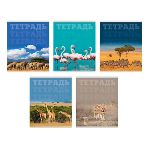Тетрадь в клетку Listoff, "В мире животных", 80 листов, в ассортименте