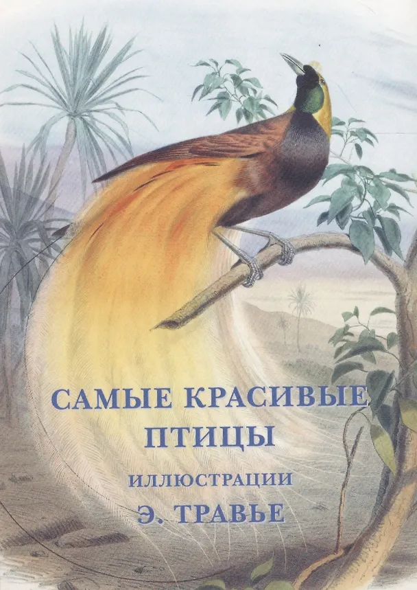 Книга Самые красивые птицы. Набор открыток () — 1
