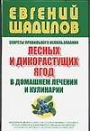 Книга Секреты правильного использования лесных и дикорастущих ягод в домашнем лечении и кулинарии (Евгений Щадилов) — 1