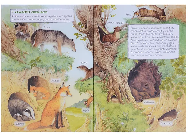 Книга Мамы и малыши (Ренне) — 4
