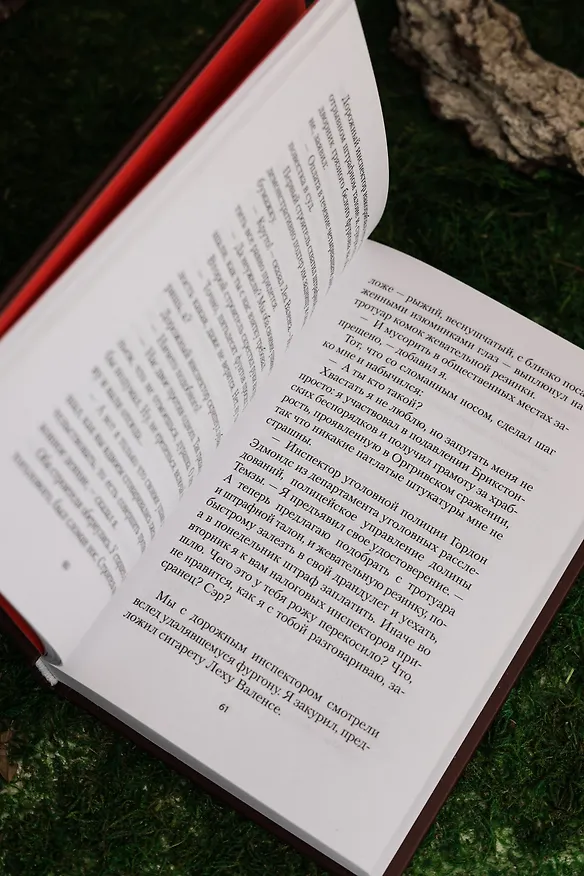 Книга Голодный дом (Дэвид Стивен Митчелл) — 21