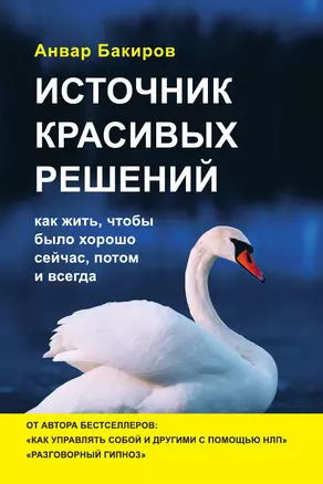 Источник красивых решений. Как жить, чтобы было хорошо сейчас, потом и всегда — 3014166 — 1