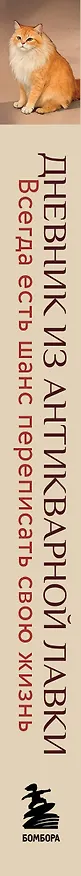Книга Дневник из антикварной лавки. Всегда есть шанс переписать свою жизнь (Ванесса Гёкинг) — 4