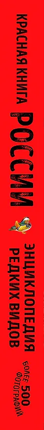 Книга Красная книга России: животные, растения, птицы, насекомые. Энциклопедия редких видов (Дмитрий Лукашанец, Екатерина Лукашанец) — 4