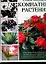Самые популярные комнатные растения: Новейшая энциклопедия — 2108633 — 1