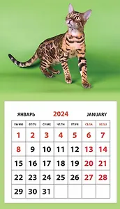 Календарь 2024г 95*165 "Кот" на магните