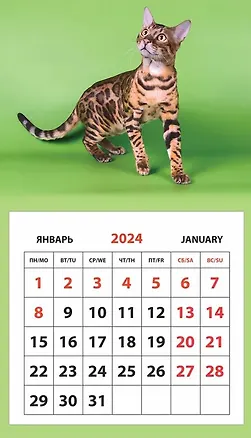 Календарь 2024г 95*165 "Кот" на магните 3000736