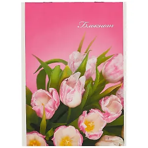 Блокнот в клетку «Цветные коты», 40 листов, А5