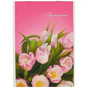 Блокнот в клетку «Цветные коты», 40 листов, А5 252197