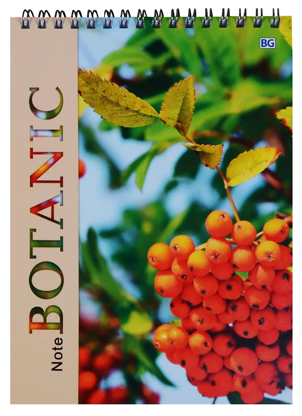 Блокнот А5 60 листов клетка "Botanic" 245836 — 2