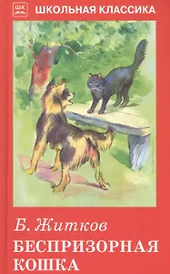 Беспризорная кошка.