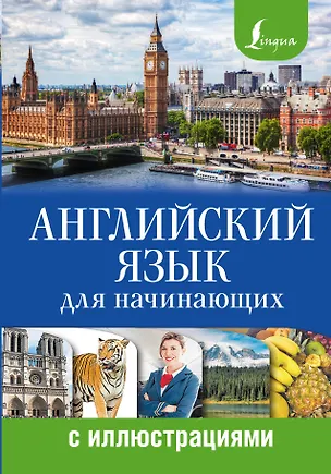 Книга Английский язык для начинающих с иллюстрациями (Анна Комнина)