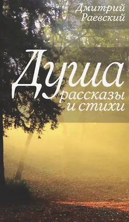 Книга Душа. Рассказы и стихи (Дмитрий Раевский)