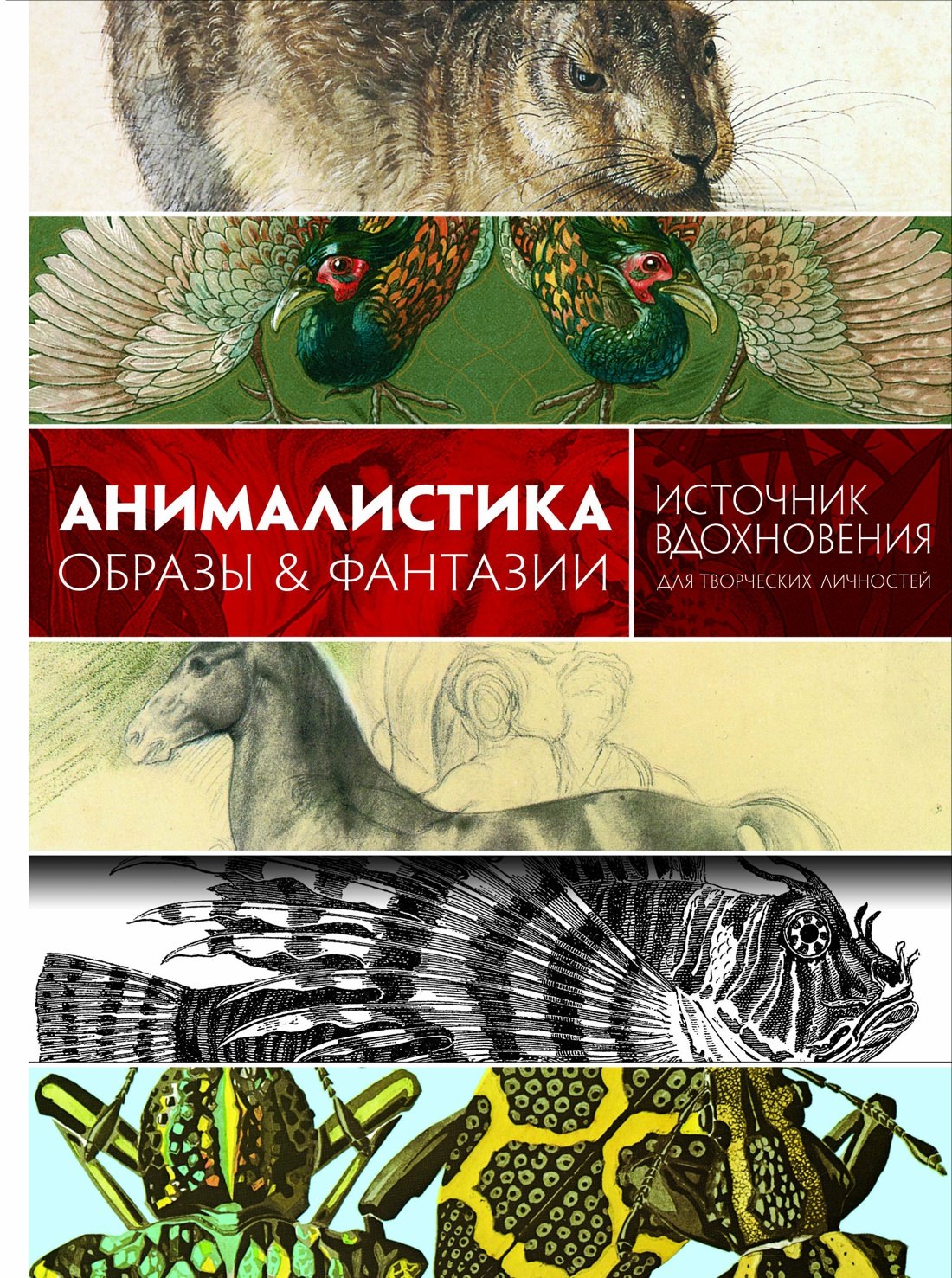 

Анималистика. Образы & фантазии