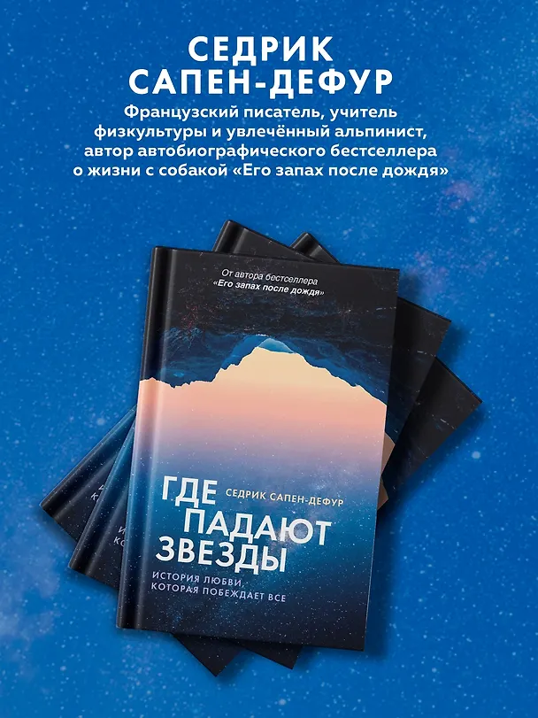Книга Где падают звезды (Седрик Сапен-Дефур) — 7