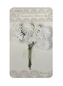 Маргаритки белые (SCB281401) (1 букетик) (в букете 8шт.) (упаковка)