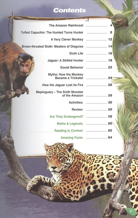 Книга The Amazon Rainforest II. Книга для чтения () — 2