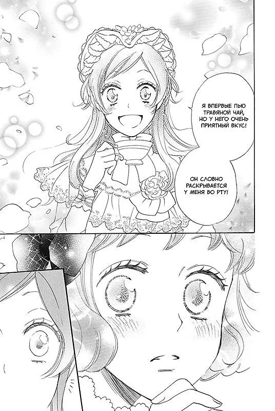 Очень приятно, Бог. Том 22 (Kamisama Hajimemashita). Манга 3004066 — 3
