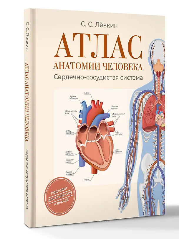Книга Атлас анатомии человека. Сердечно-сосудистая система (Сергей Лёвкин) — 4