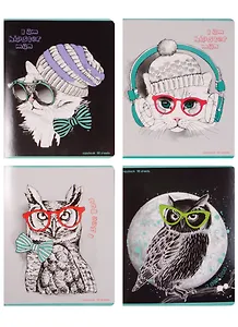 Тетрадь в клетку BG, "Я тебя вижу!", 96 листов, в ассортименте