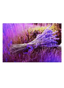 Доска для нарезки Лаванда (стекло) (30x20) (CB-Лаванда) (в подар.упаков.) GiftLand