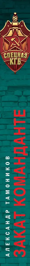 Книга Закат команданте (Александр Тамоников) — 3