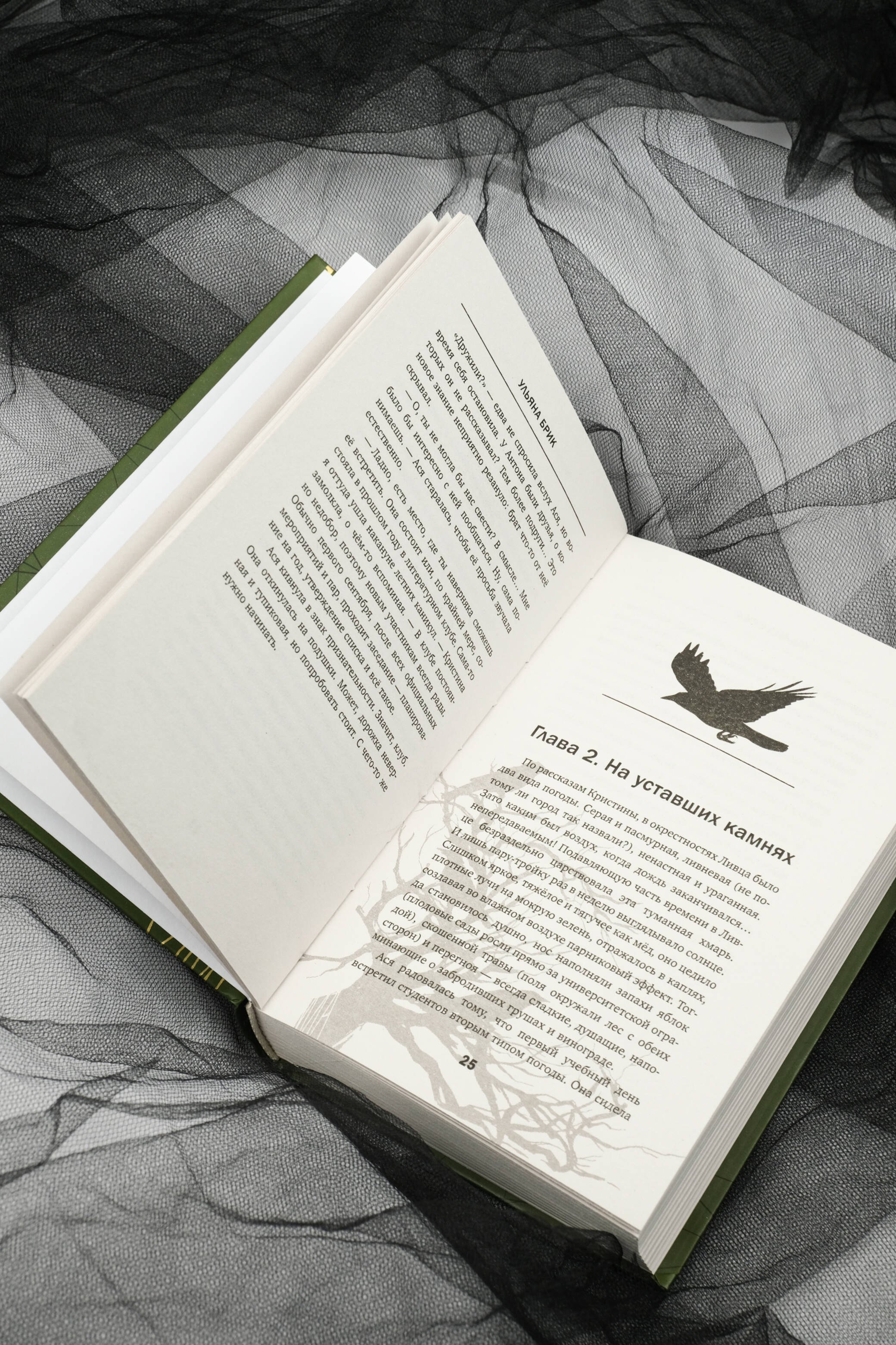 Изображение бумажной книги