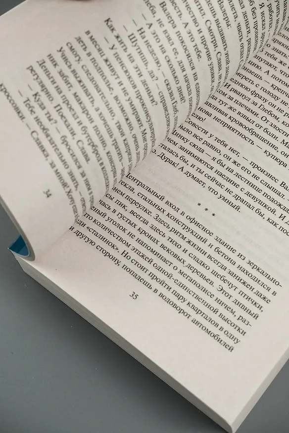 Книга Портфолио в багровых тонах (Лариса Соболева) — 9