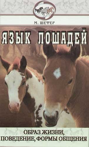 Книга Язык лошадей. Образ жизни, поведение, формы общения (Михаэль Шефер) — 1