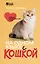 На одном языке с кошкой. Советы, рекомендации, уход — 3176694 — 1