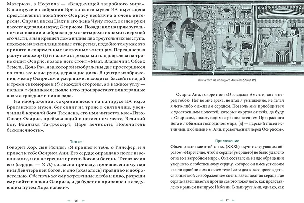 Книга Египетская книга мертвых (Эрнест Бадж) — 7