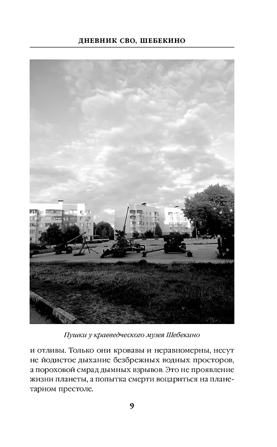 Книга Шебекинский дневник (Ирина Пичугина) — 10
