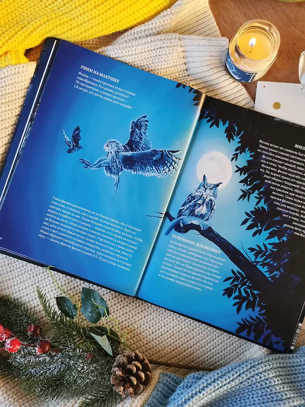 Книга Все ли спят ночью? Завораживающие иллюстрации и удивительные факты ночного мира живой природы (Беатрикс Маннель) — 12