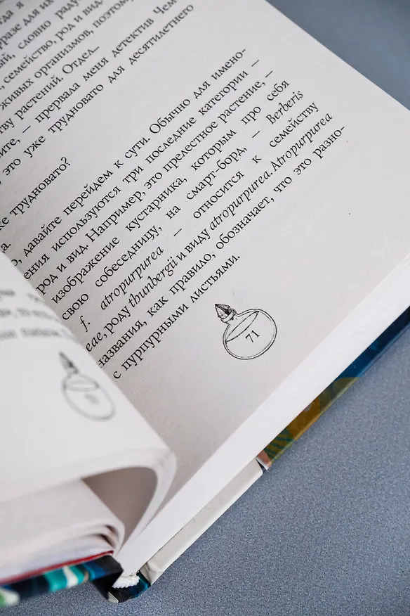 Книга Адские колокола (Джилл Джонсон) — 14