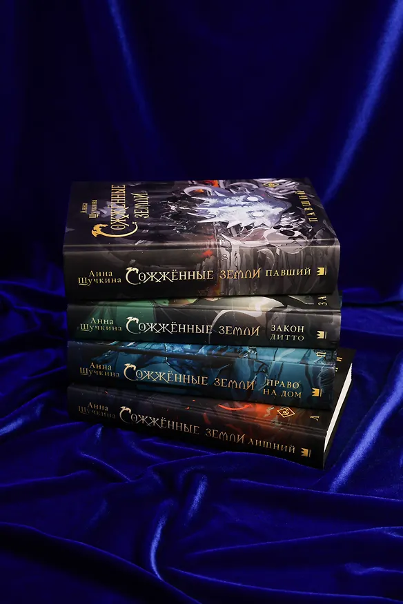 Книга Сожженные земли. Павший (Анна Щучкина) — 17