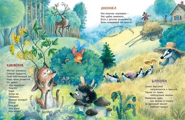 Книга От букашки до слона (Наталья Карпова) — 3