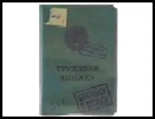 обложка для паспорта пластик Трудовая книжка 13,7*9,6 см 488758, шт