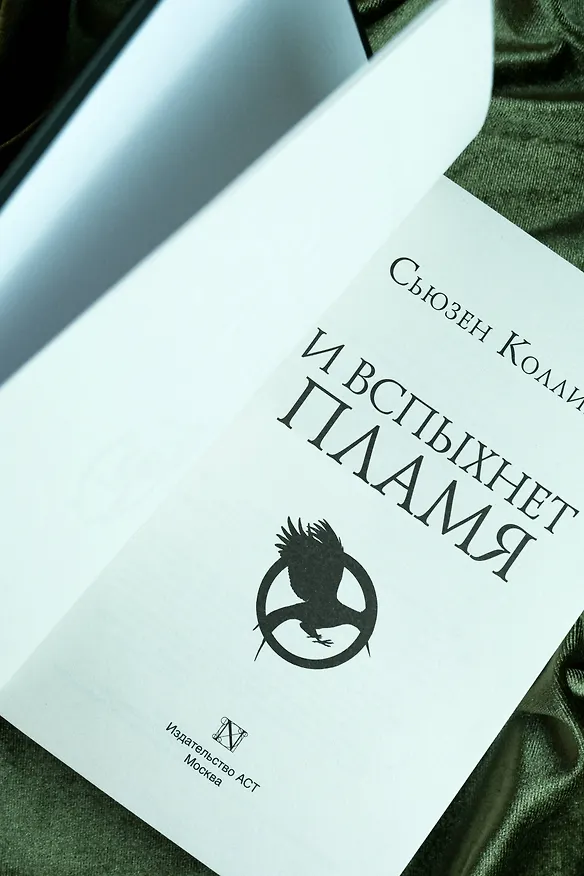 Книга И вспыхнет пламя (Сьюзен Коллинз) — 10