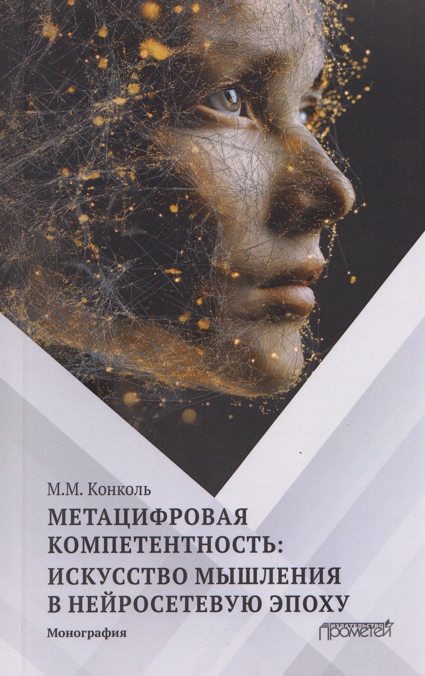 

Метацифровая компетентность: искусство мышления в нейросетевую эпоху: Монография