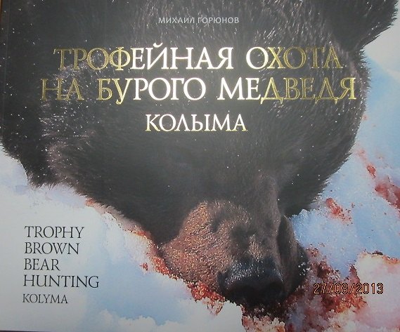Книга Трофейная охота на бурого медведя. Колыма (+DVD) (Михаил Горюнов) — 1