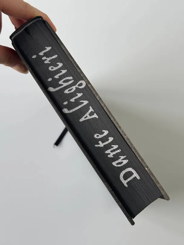 Книга Божественная комедия. Коллекционное издание с иллюстрациями Гюстава Доре (Данте Алигьери) — 15